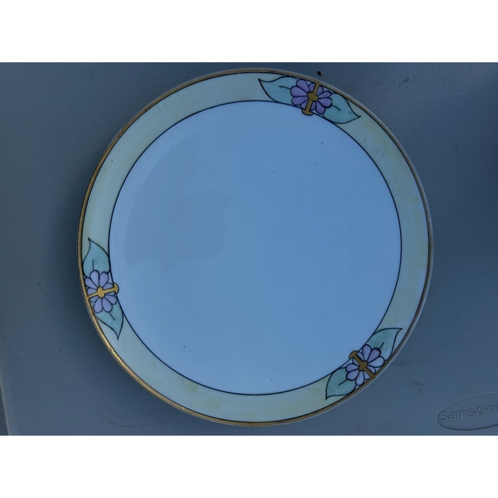 Antique- Bavarian Hand Painted Porcelain Dinner Plate with Floral Design